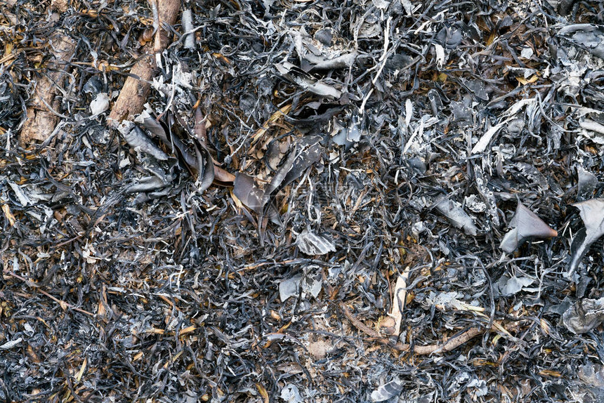 烧焦的草和灰烬带纹理的背景图片