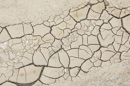 谷干裂土壤的模式图片