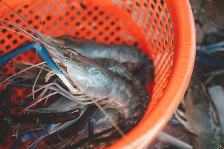 在泰国海产食品市场上出售的橙子篮里新鲜生图片