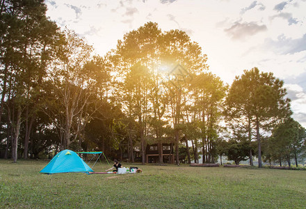 在森林附近绿地上的蓝露营帐篷图片