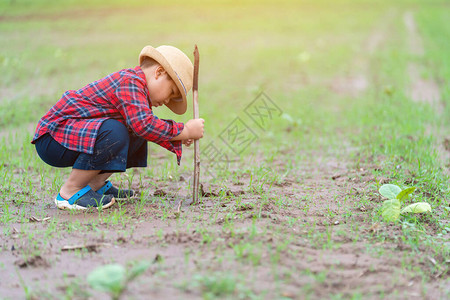亚洲儿童挖土种树地图片