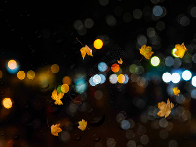 城市夜幕模糊的秋冬叶落下图片