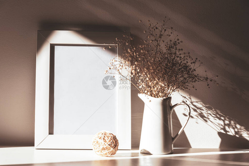 空白的图片框和带阴影的亮光中的Gypsophila花图片