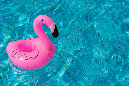 夏之欢乐泳池水中的粉红充气火烈龙用于图片