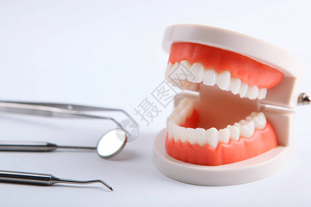 牙齿和牙科仪器及牙科护理产品模型图片