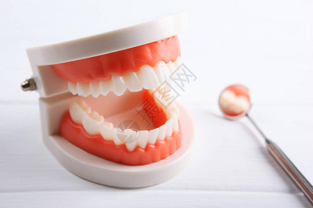 牙齿和牙科仪器及牙科护理产品模型图片