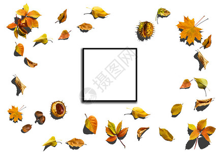 秋天的背景与秋天的落叶中心的黑色板与文本的复制空间舒适的秋天静物图片