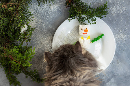 有趣的灰猫想吃雪人新年食物和树枝的构成圣诞幽默感图片