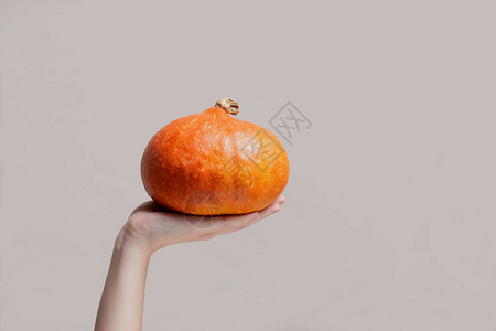 女手握着橙色南瓜图片