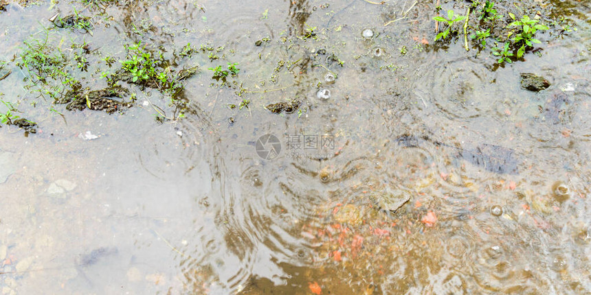 季风雨水在地面上流动雨水落在地球上的照片特写美丽的雨季自图片