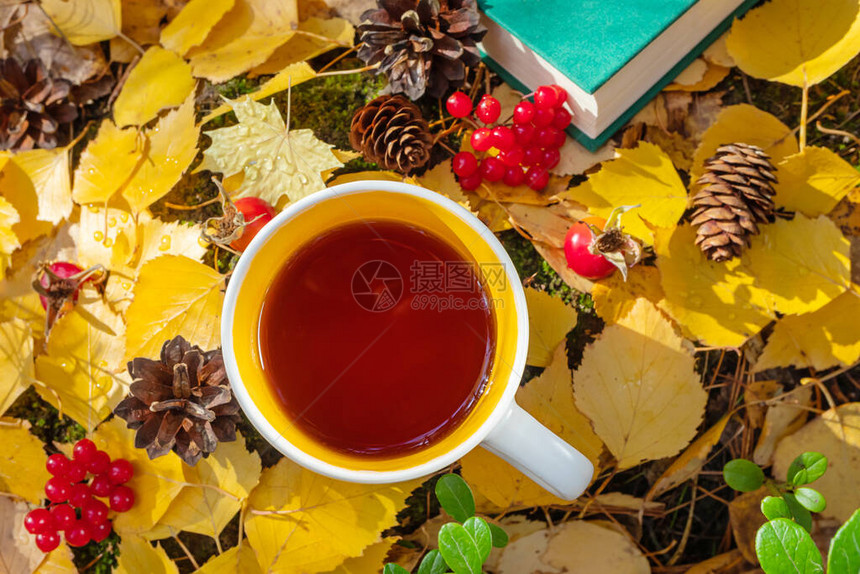 一杯新鲜的热茶在秋叶球果浆果玫瑰果之间天然饮料远足露营秋季的概念图片