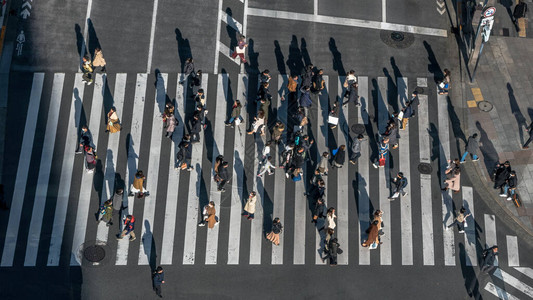 用夕阳照在日本人行横道的上空在东京市最繁忙的道路交叉口行走的图片