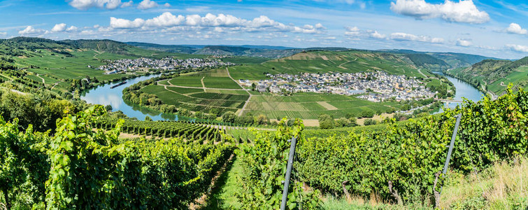 从Moselle山谷到Trittenheim的图片
