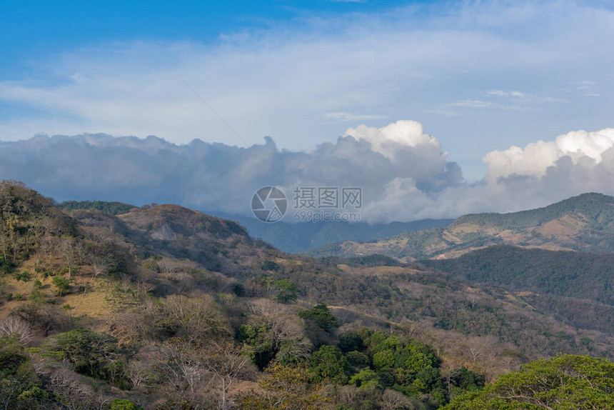 哥斯达黎加Monteverde保图片