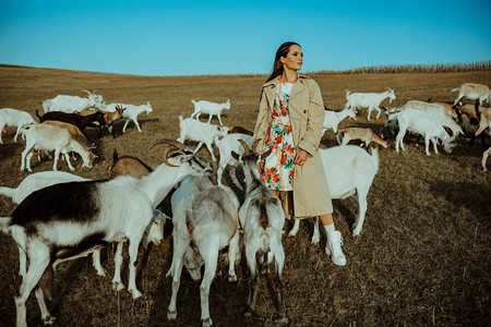 英俊的女牧羊人站在一群图片