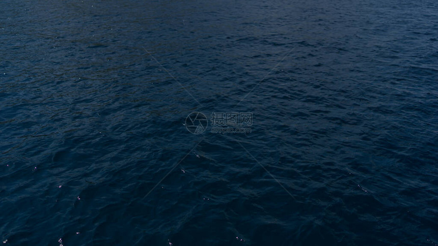 夜晚的海浮游生物在海洋中闪耀图片