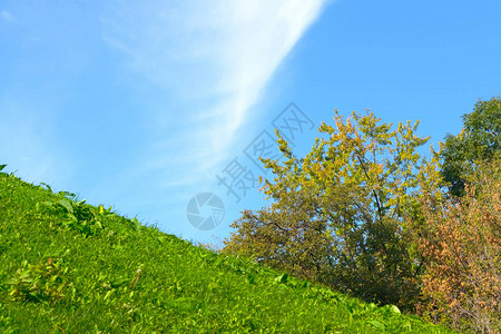 美丽的自然背景有青草的山丘和蓝天空秋图片