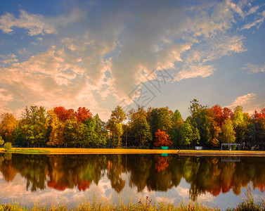 秋天风景旧公园湖景图圣彼得堡的图片