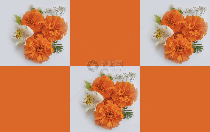 浅色背景中的橙色花朵图片