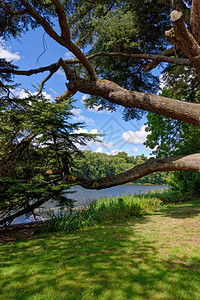 布伦海姆宫花园和林公园图片