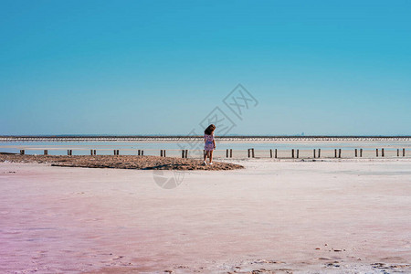 在一张粉红湖的全景图中图片