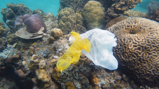 环境问题珊瑚礁上的塑料垃圾珊瑚礁上的塑料图片