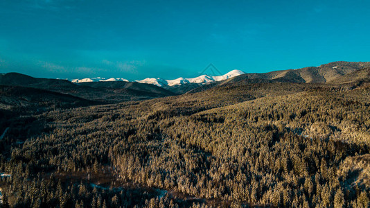 冬季喀尔巴阡山脉隐形森林山地区域图片