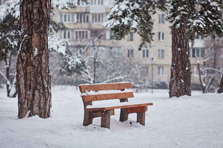 冬天雪地公园里的长凳图片