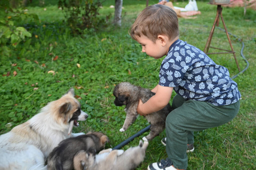 孩子怀里抱着一只小狗高质量的照片图片