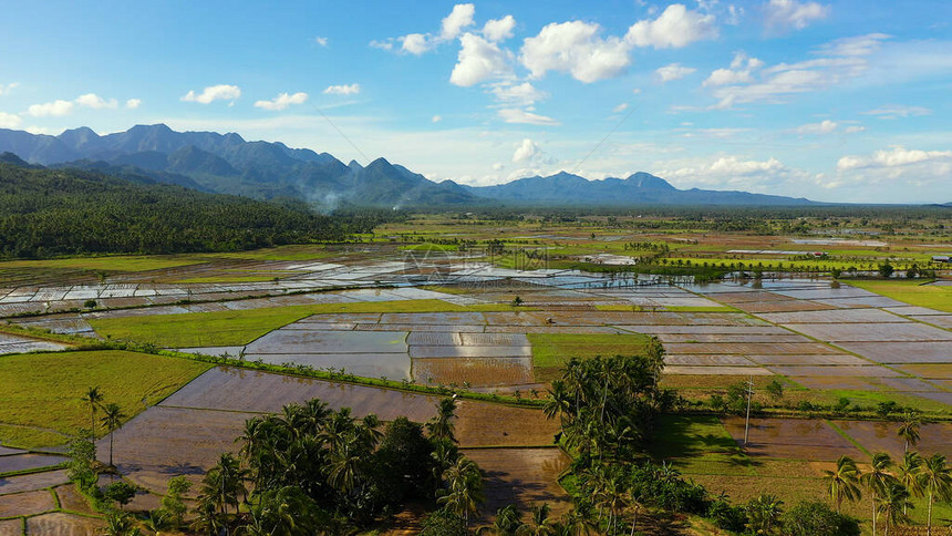 菲律宾的稻田山景与青山和农田夏季和旅游度假的概念菲律宾莱特图片