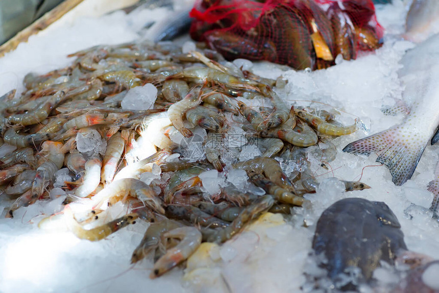 鱼市的冰台面与不同的天然新鲜捕获的海鲜图片