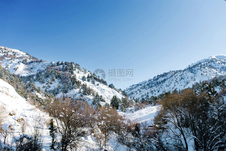 乌兹别克斯坦冬季天山的天山系统图片