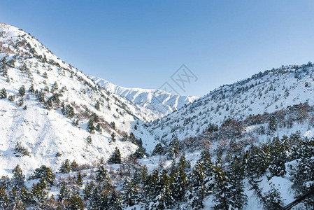 乌兹别克斯坦天山冬季风景美丽清晨明图片