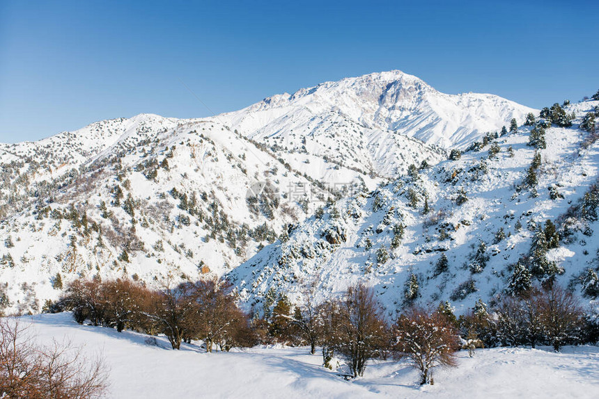 乌兹别克斯坦滑雪度假胜地Beldersay的冬季图片