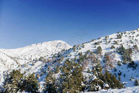 在寒冷的冬日白雪覆盖的雪山峰顶图片