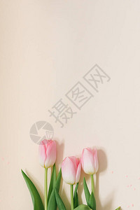 白色背景上的淡粉色郁金香花束图片