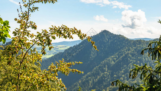 古龙峡漂流从Pieniny山顶到波兰Dunajec峡背景