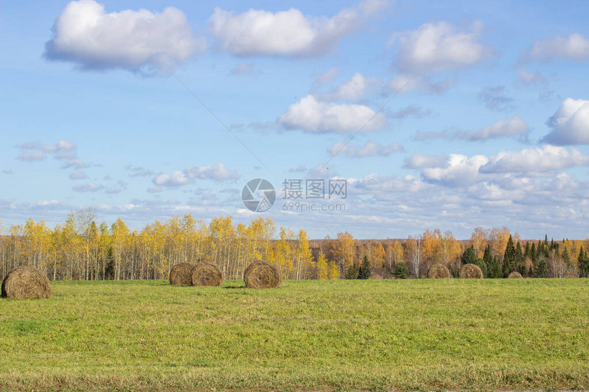 秋天在田里的干草捆与天空和云彩的农业领域农场的农村质草地上的稻草乡村自然景观五图片