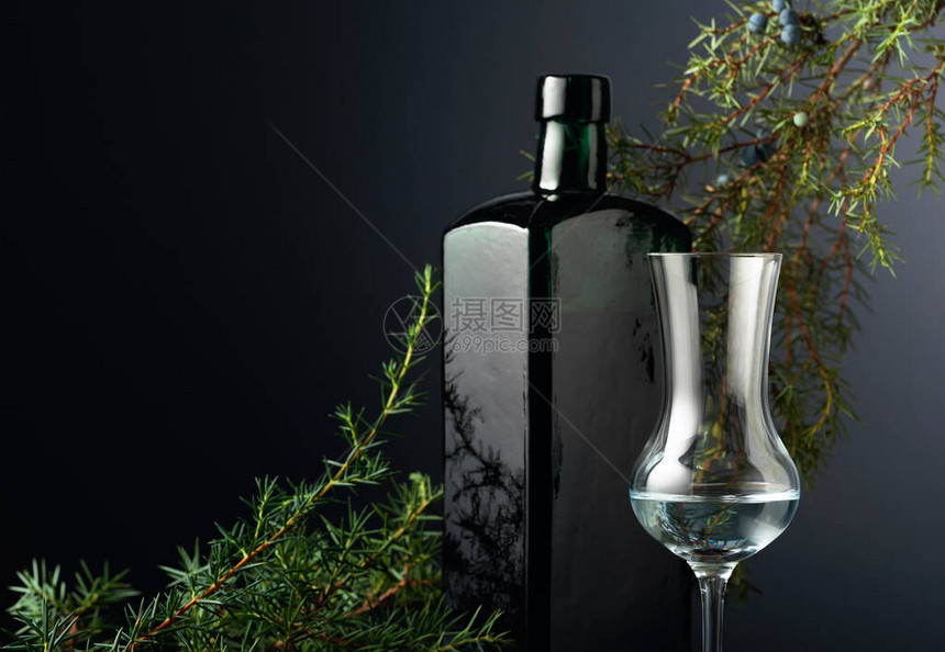 黑色背景上的杜松酊剂或杜松子酒在杜松和深色玻璃古董瓶的背景分支图片