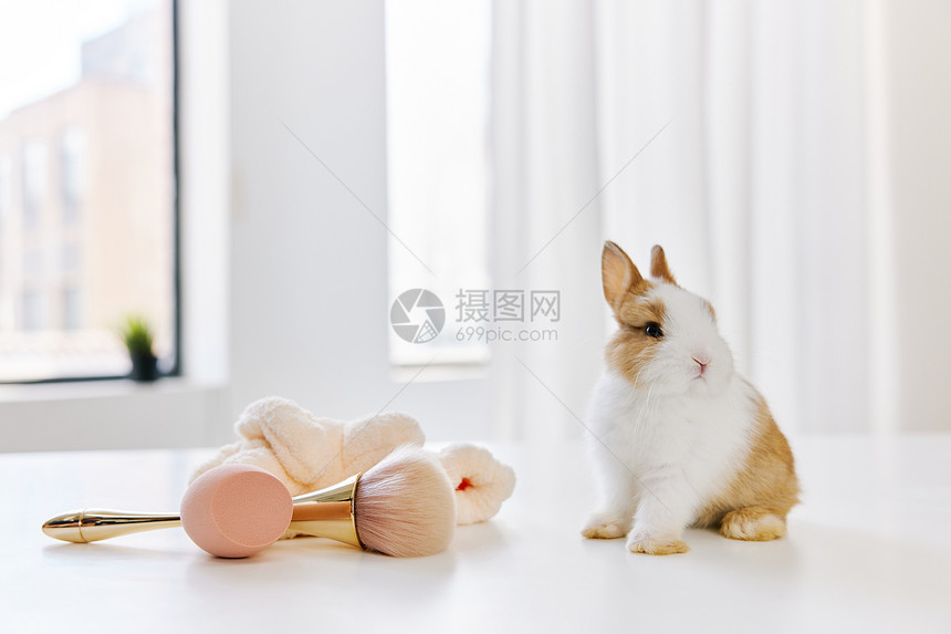可爱的小兔子与美妆工具图片