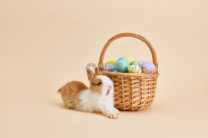 复活节彩蛋旁的小兔子伸懒腰图片