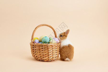 复活节彩蛋的小兔子图片