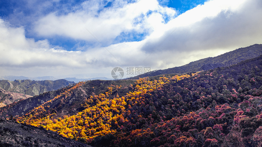 内蒙古大青山秋色图片