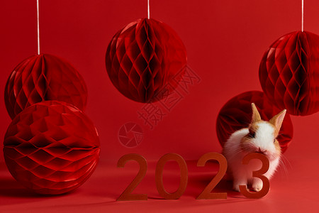 可爱小兔子2023年兔年形象图片