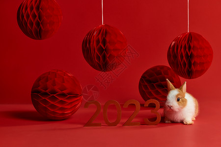 可爱兔年新年装饰图片