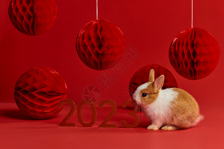 可爱小兔子新年形象背景图片