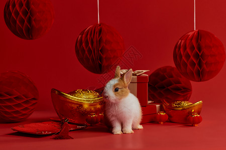 抱元宝兔子新年兔子与元宝礼盒装饰背景