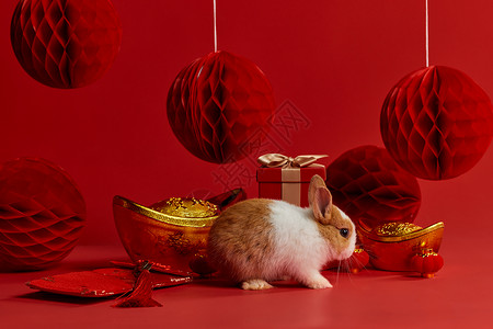 可爱小兔子新年形象图片