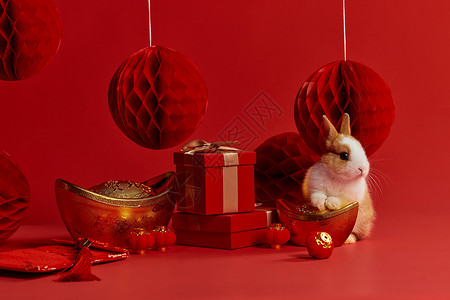 兔子新年装饰图片