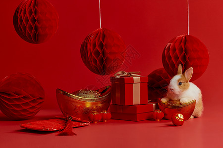 兔年新年氛围装饰背景图片